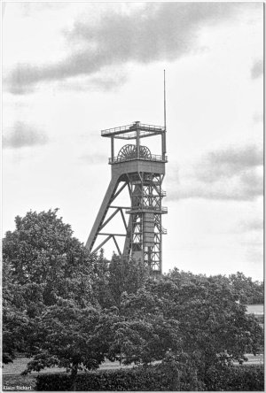 BILD-0.jpg BILD-0.jpg