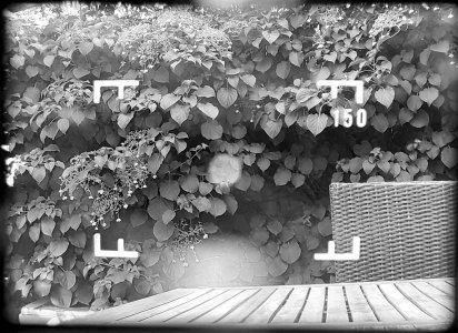 Sucher 150.jpg Sucher 150.jpg