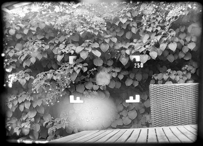 Sucher 250.jpg Sucher 250.jpg