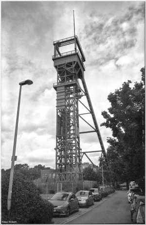 BILD-5.jpg BILD-5.jpg