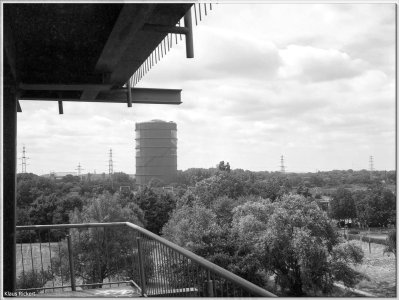 BILD-11.jpg BILD-11.jpg