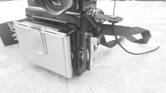 Mamiya-14.jpg Mamiya-14.jpg