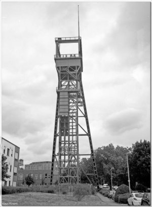 BILD-12.jpg BILD-12.jpg