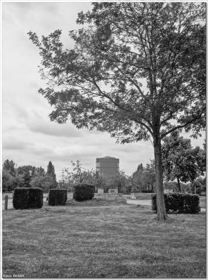 BILD-13.jpg BILD-13.jpg