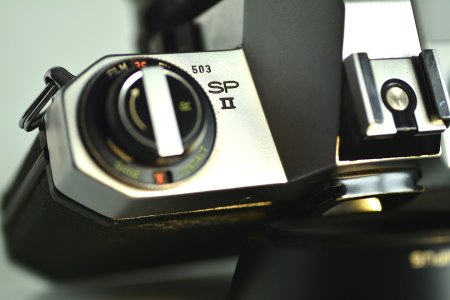 _C711407-1440-WEB.JPG _C711407-1440-WEB.JPG