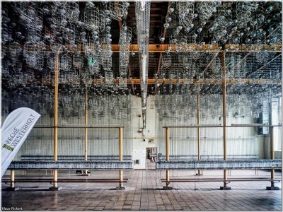 Bild 6.jpg Bild 6.jpg