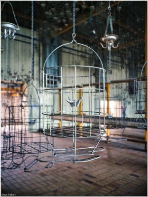 Bild 8.jpg Bild 8.jpg