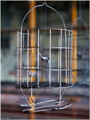 Bild 10.jpg Bild 10.jpg