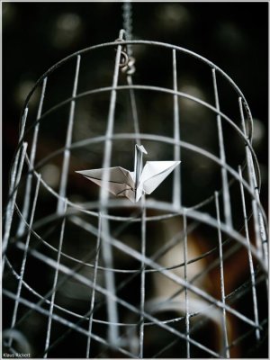 Bild 12.jpg Bild 12.jpg