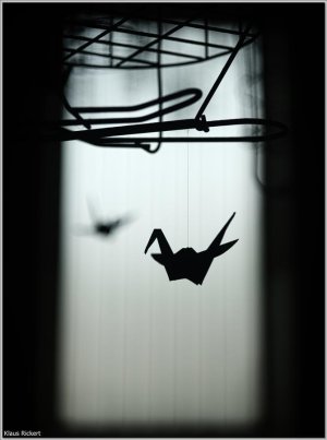 Bild 13.jpg Bild 13.jpg