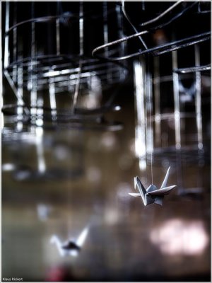 Bild 14.jpg Bild 14.jpg