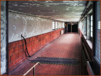 Bild 49.jpg Bild 49.jpg