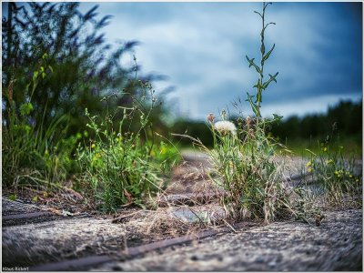 Bild 59.jpg Bild 59.jpg