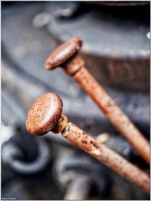 Bild 87.jpg Bild 87.jpg