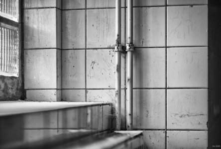 comp_DSCF3007.jpg comp_DSCF3007.jpg