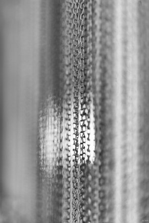 comp_DSCF3014.jpg comp_DSCF3014.jpg