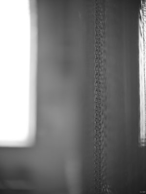 comp_DSCF3030.jpg comp_DSCF3030.jpg