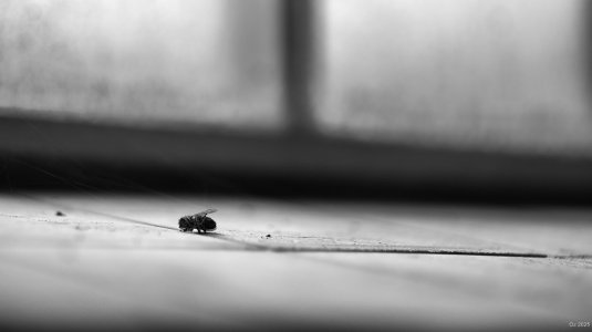 comp_DSCF3047.jpg comp_DSCF3047.jpg