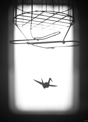 comp_DSCF3041.jpg comp_DSCF3041.jpg