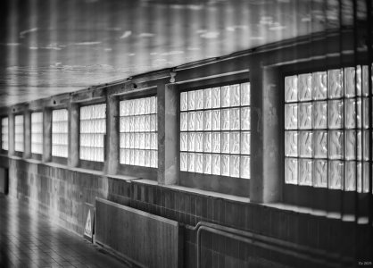 comp_DSCF3100.jpg comp_DSCF3100.jpg