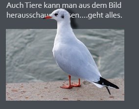 out-of-bound-Bild 1.jpg