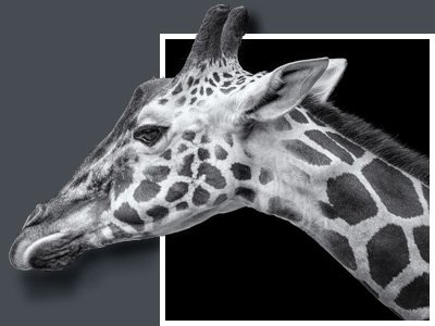 out-of-bound-Bild 2.jpg