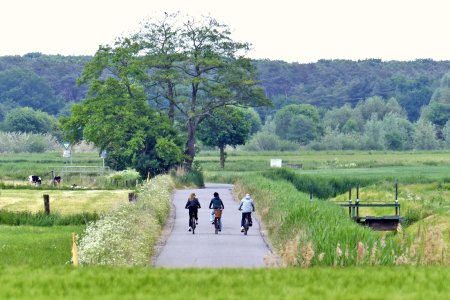 P1140143var.jpg P1140143var.jpg