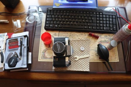 IMG_3278.jpeg IMG_3278.jpeg