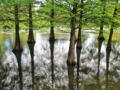 Ausflug Haselau  0063.jpg