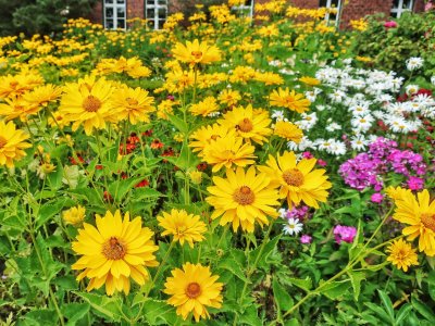 Ausflug Haselau  0016.jpg