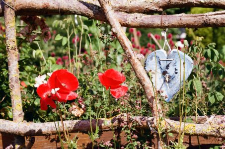 Olympus OM-1_März bis Juli 2025 (11).jpg