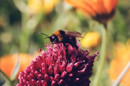 Olympus OM-1_März bis Juli 2025 (14).jpg