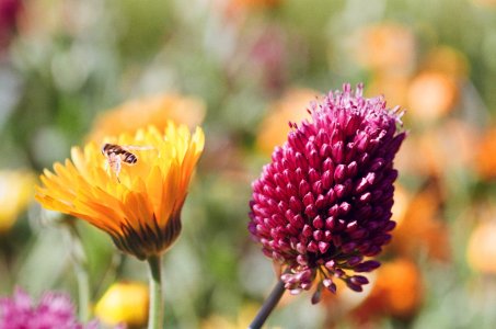 Olympus OM-1_März bis Juli 2025 (16).jpg