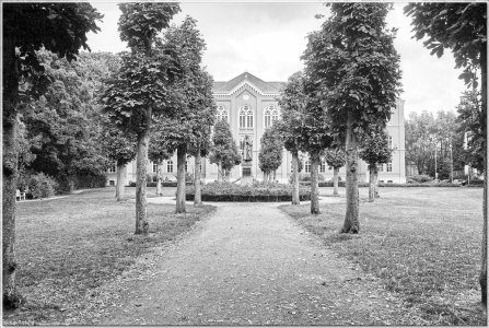 Bild - 13.jpg Bild - 13.jpg