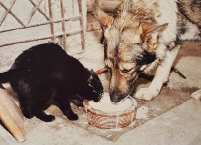 IMG_6307.JPG IMG_6307.JPG