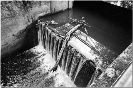 Bild - 11.jpg Bild - 11.jpg