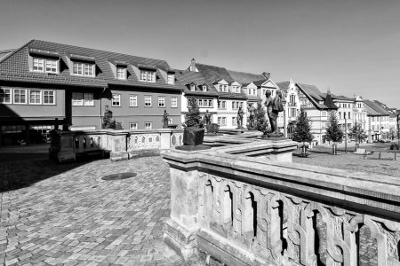 _MG_3694.jpg _MG_3694.jpg