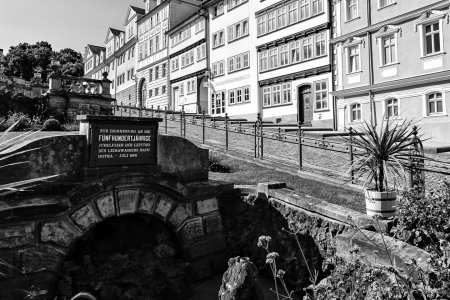 _MG_3696.jpg _MG_3696.jpg