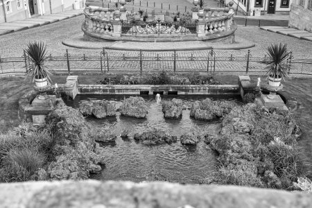 _P2M1074-SW.jpg _P2M1074-SW.jpg