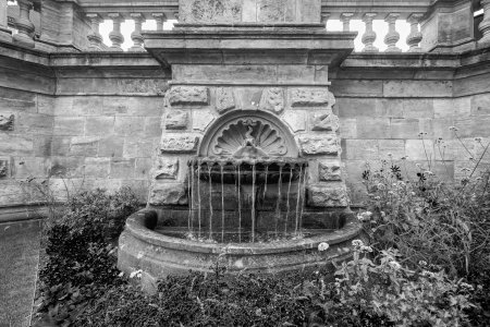 DSCF3992.jpg DSCF3992.jpg