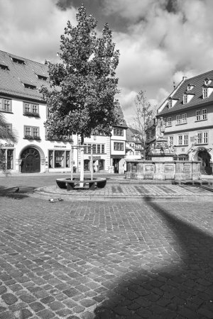 _P1M1370-SW.jpg _P1M1370-SW.jpg