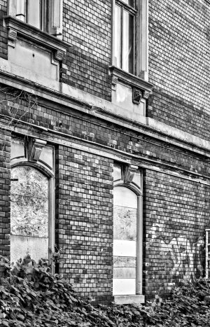 _DM26867_Radiant_Radiant.jpg _DM26867_Radiant_Radiant.jpg