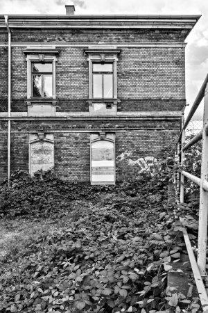 _DM26873_Radiant_Radiant.jpg _DM26873_Radiant_Radiant.jpg