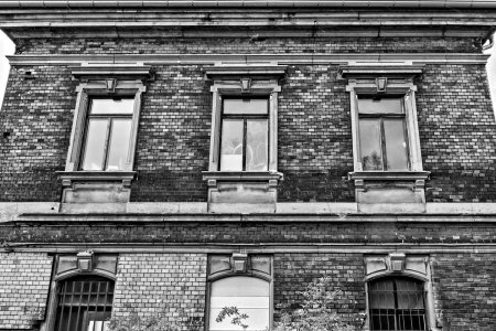 _DM26878_Radiant_Radiant.jpg _DM26878_Radiant_Radiant.jpg