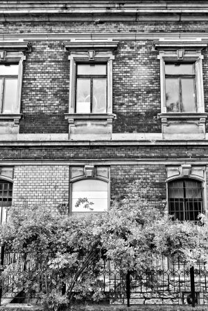 _DM26881_Radiant_Radiant.jpg _DM26881_Radiant_Radiant.jpg