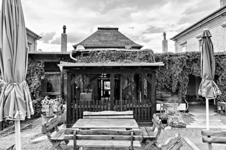 _DM26884_Radiant_Radiant.jpg _DM26884_Radiant_Radiant.jpg