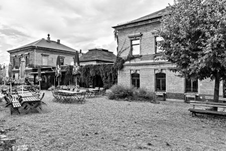 _DM26891_Radiant_Radiant.jpg _DM26891_Radiant_Radiant.jpg