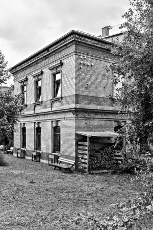 _DM26893_Radiant_Radiant.jpg _DM26893_Radiant_Radiant.jpg