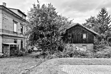 _DM26895_Radiant_Radiant.jpg _DM26895_Radiant_Radiant.jpg