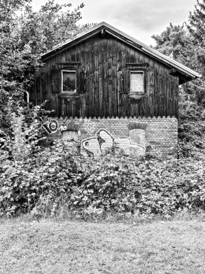 _DM26900_Radiant_Radiant.jpg _DM26900_Radiant_Radiant.jpg